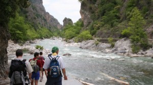 konitsa_kalogeriko_miga-0