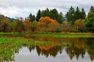 Ξενωνας Βικτώρια - Λουτρά Αμάραντου - Δραστηριοτητα - Πεζοπορία, ορειβασία